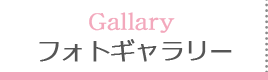 フォトギャラリー