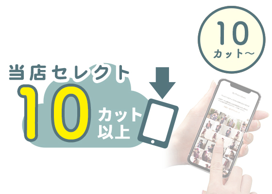全データ10カットコース