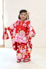 おでかけ:S 3G赤桜